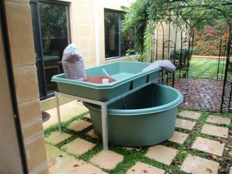 P5040785 (Custom).JPG