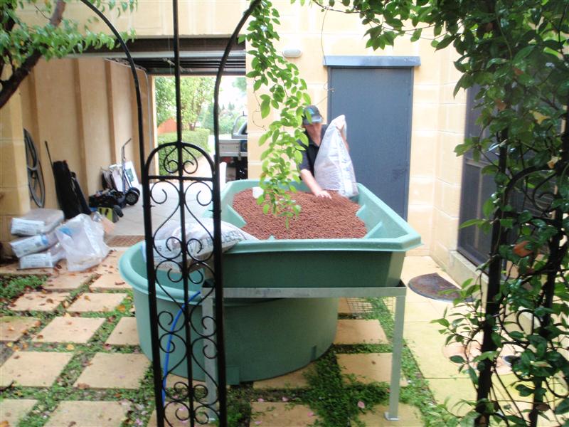 P5040786 (Custom).JPG