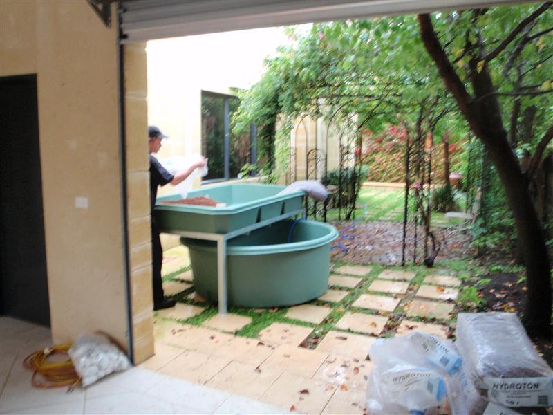 P5040787 (Custom).JPG