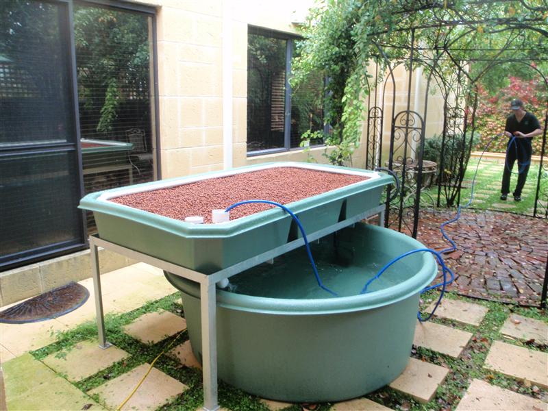 P5040788 (Custom).JPG