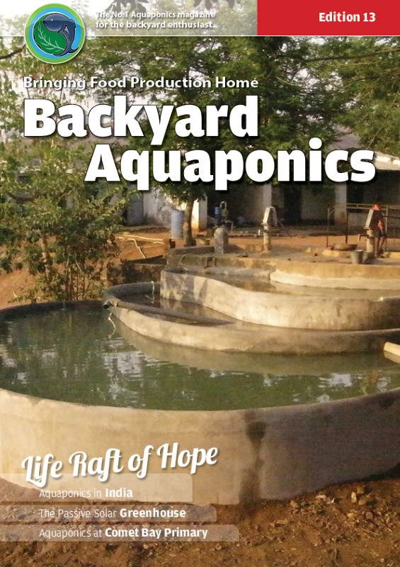 Issue 13 (Custom).jpg