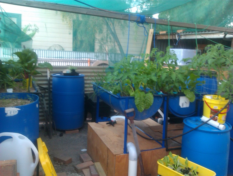 2012-05-07 17.12.52s.jpg