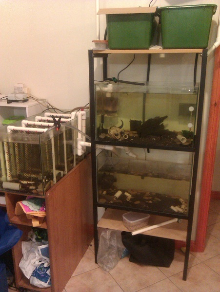 2012-05-07 17.15.31s.jpg