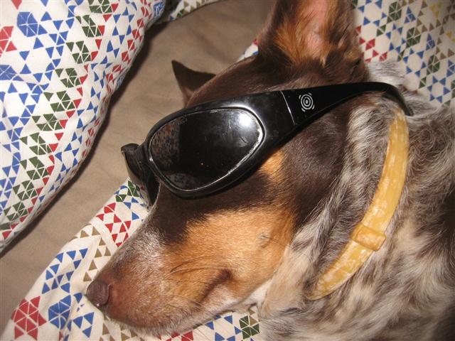 TODAY IS THE DAY 021 (Small).JPG