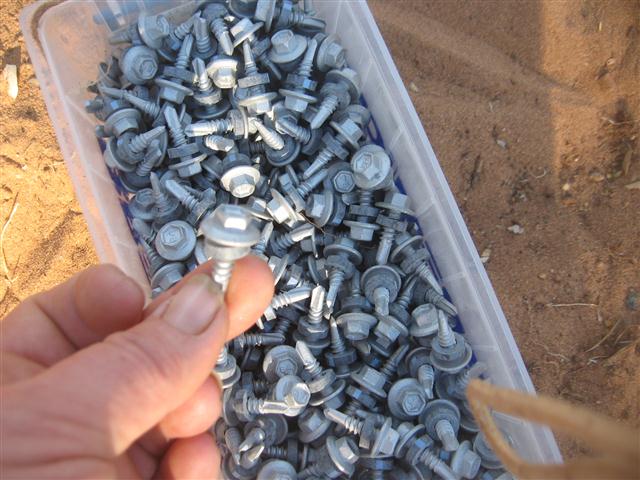 TODAY IS THE DAY 008 (Small).JPG