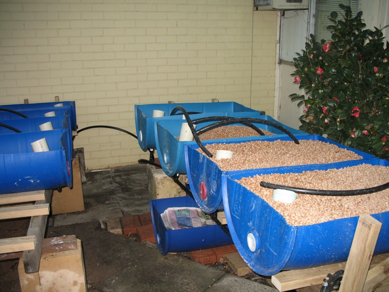 Grow Beds and Worms.jpg