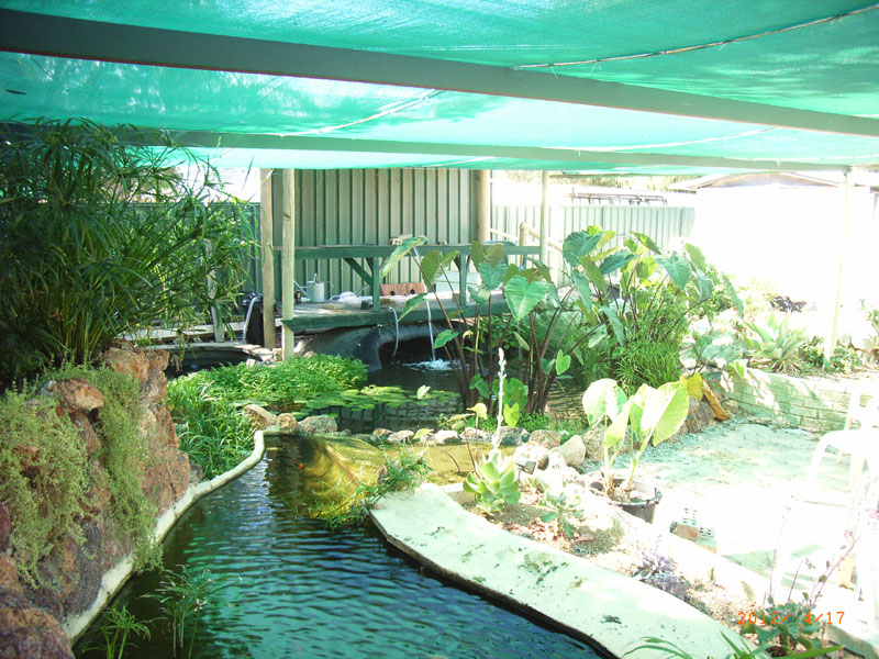 pond2.JPG