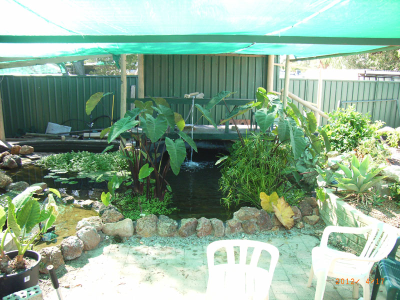 pond1.JPG