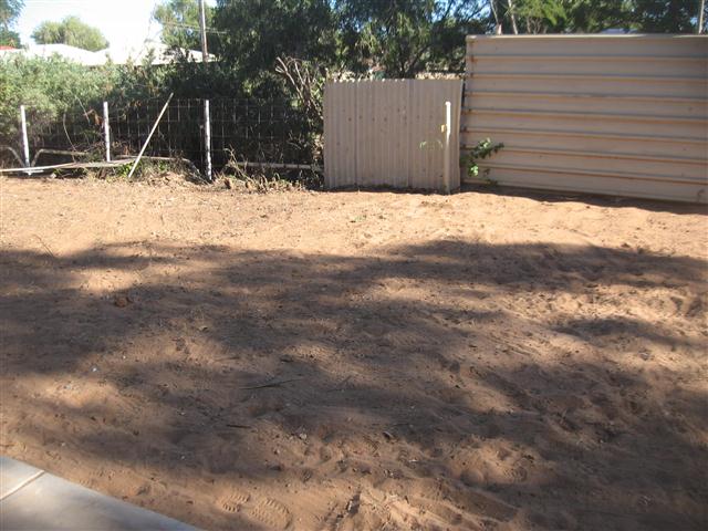 TODAY IS THE DAY 001 (Small).JPG