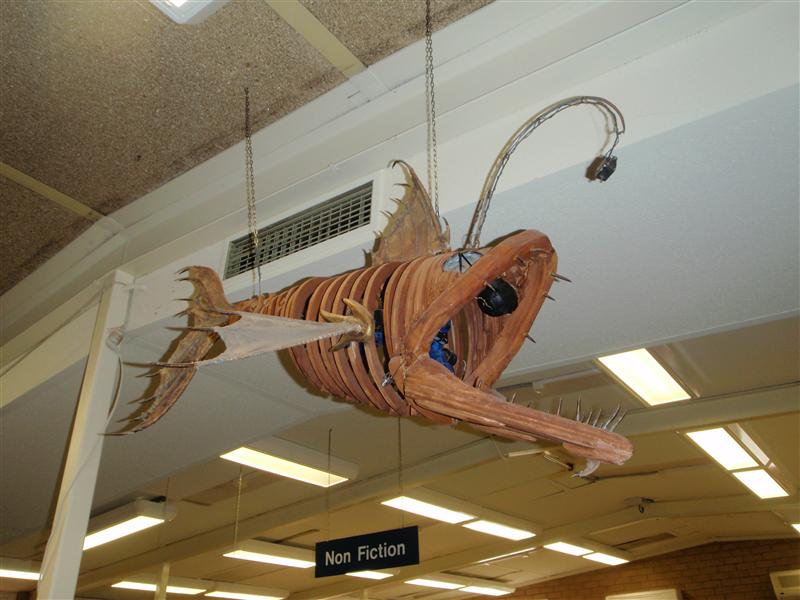 P5100803 (Custom).JPG