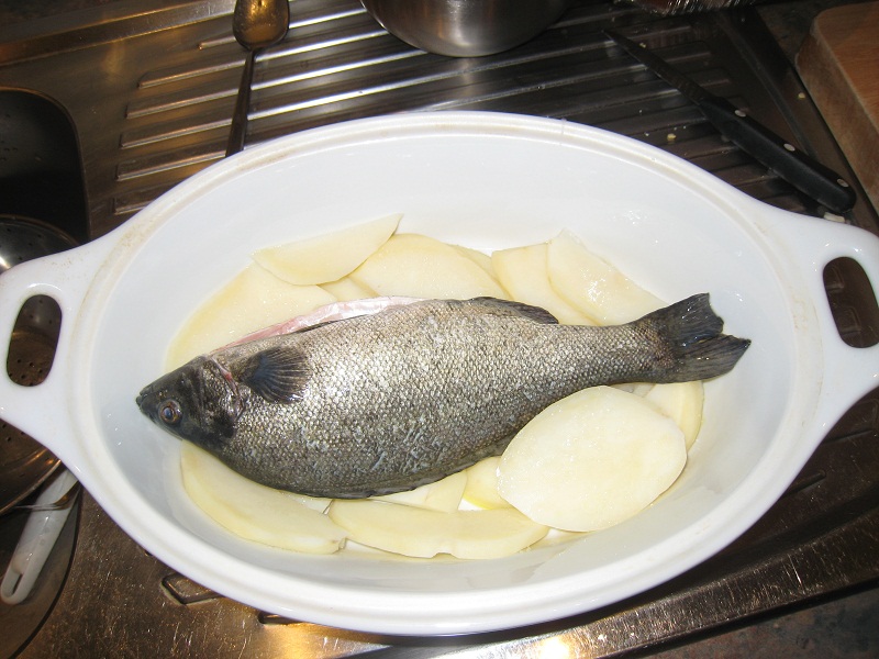 SP in baking dish on par boiled potatoes.jpg