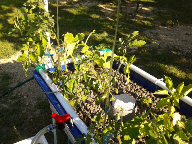 2012-05-17 18.01.12.jpg