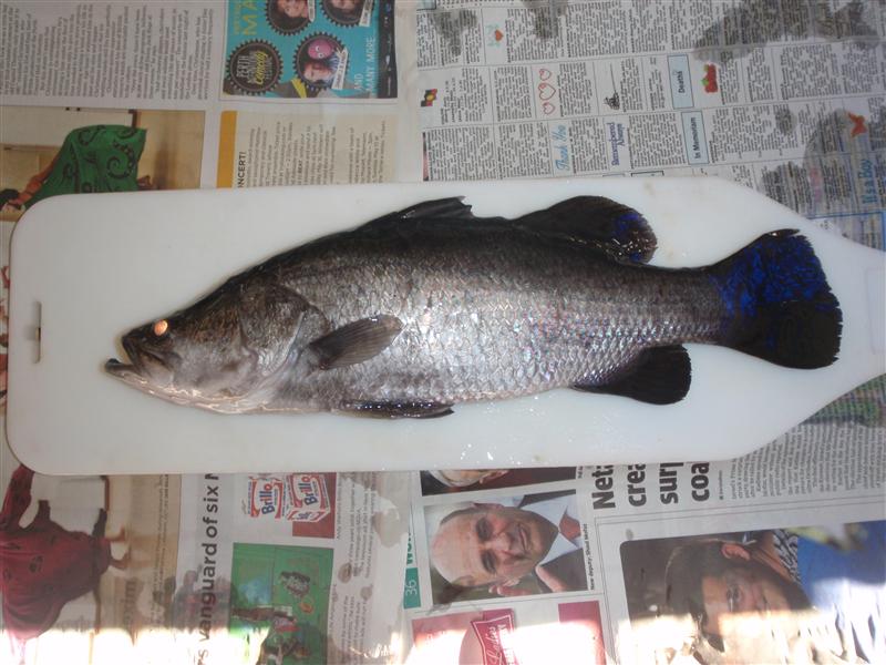 P5180150 (Custom).JPG