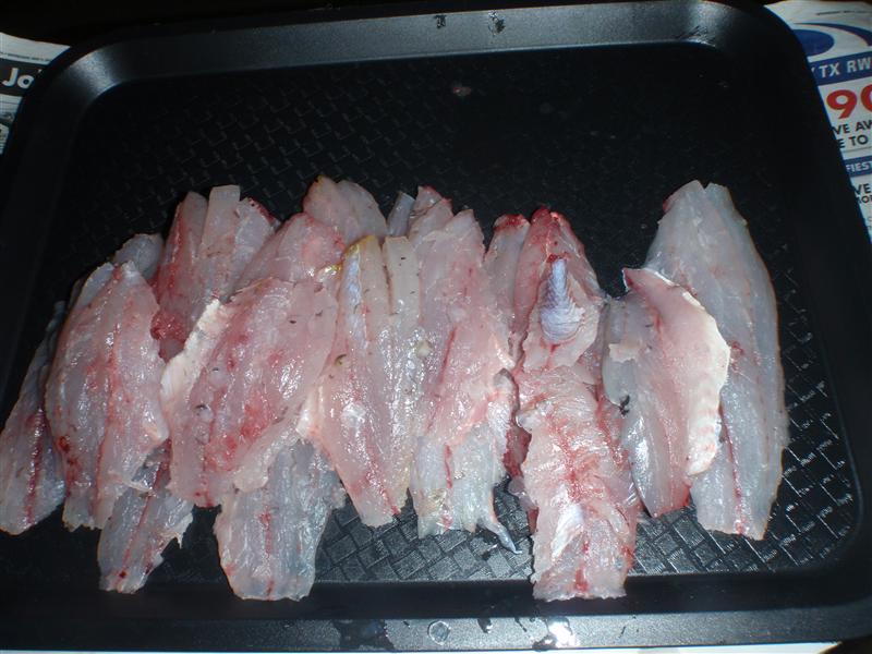 P5180156 (Custom).JPG