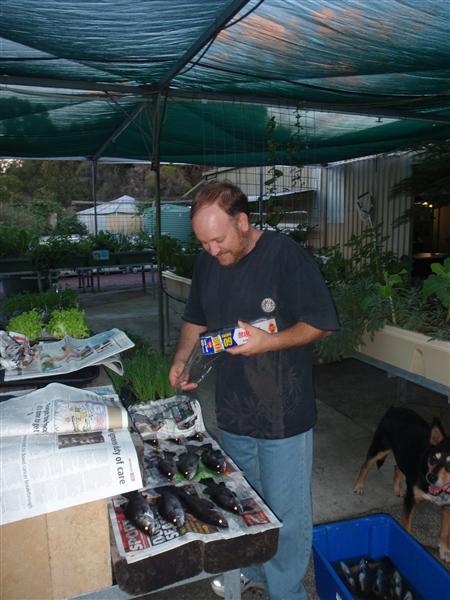 P5180160 (Custom).JPG