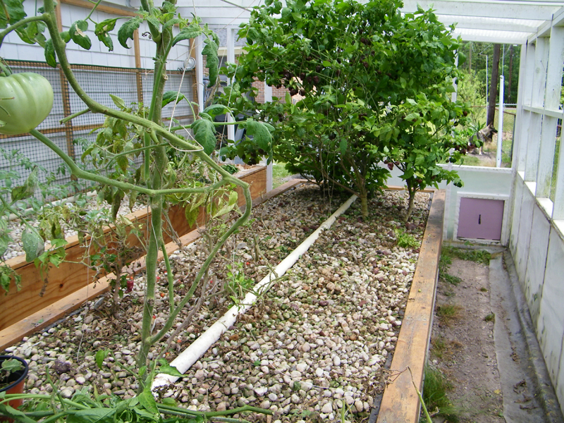 Beds cleaned out for more plants 5-15-2012.jpg
