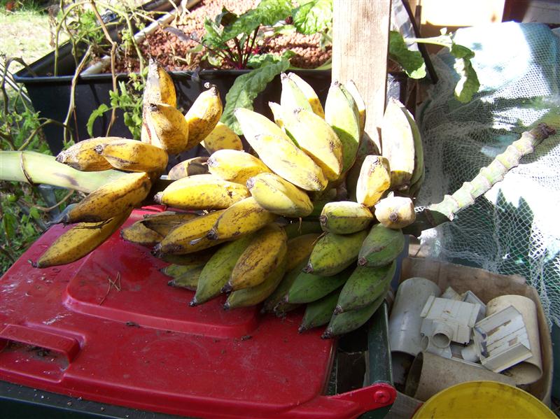 100_7048 (Custom).JPG