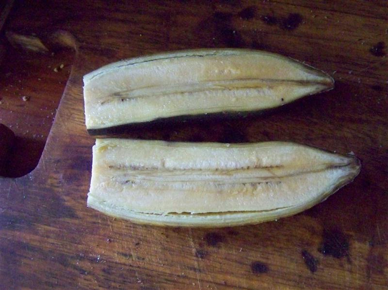 100_7052 (Custom).JPG