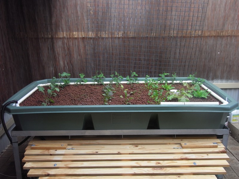 biopod_200512 006.jpg