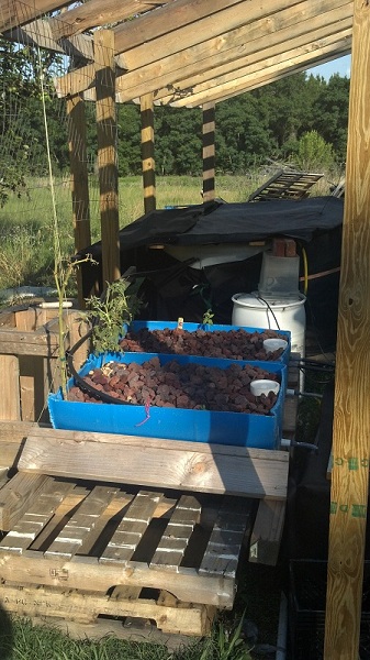 2012-05-21 System.jpg