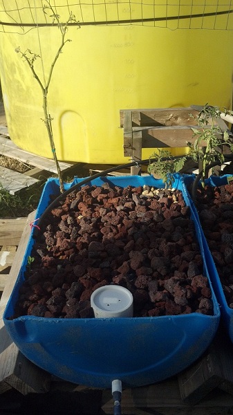 2012-05-21 Old Tommies.jpg