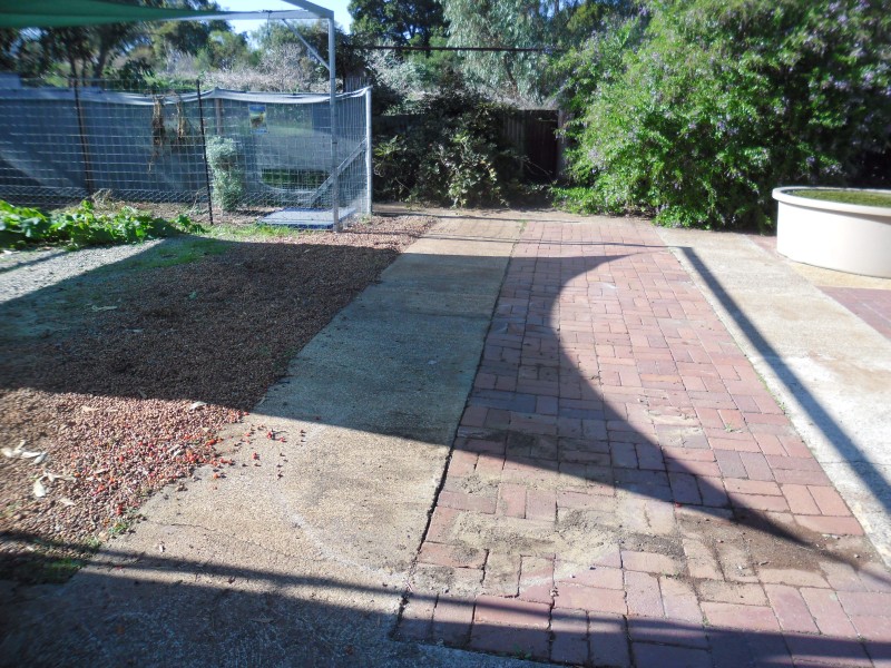 SAM_0124 (Custom).JPG