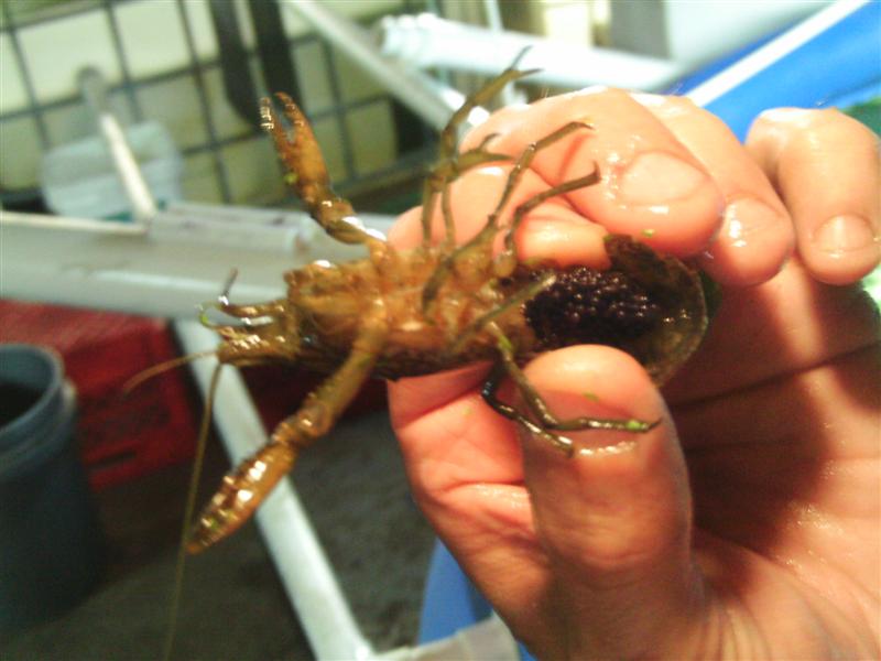 IMAG0096 (Medium).JPG