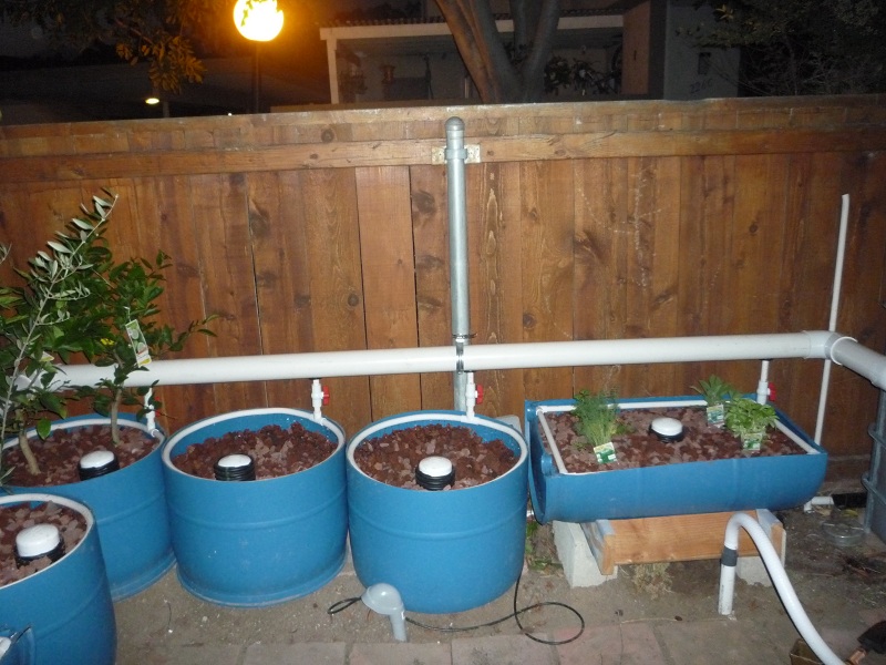 043 more money shots.jpg