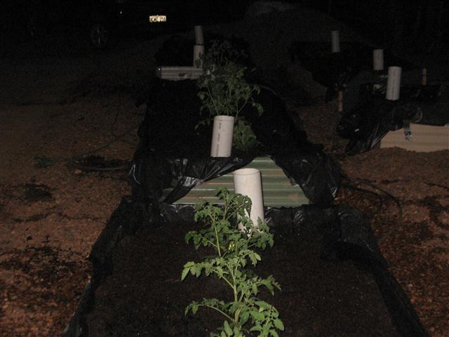 TODAY IS THE DAY 004 (Small).JPG