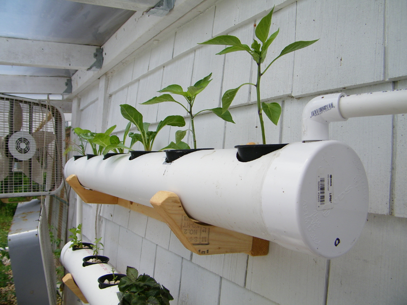 closeup on top pipe 5-12-2012.jpg