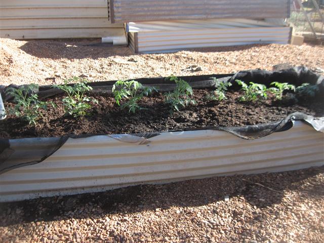 TODAY IS THE DAY 001 (Small).JPG