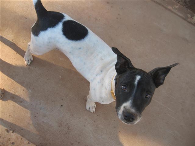 TODAY IS THE DAY 006 (Small).JPG