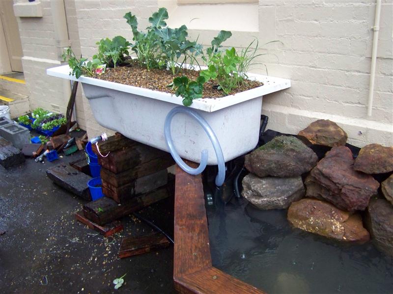 100_7067 (Custom).JPG