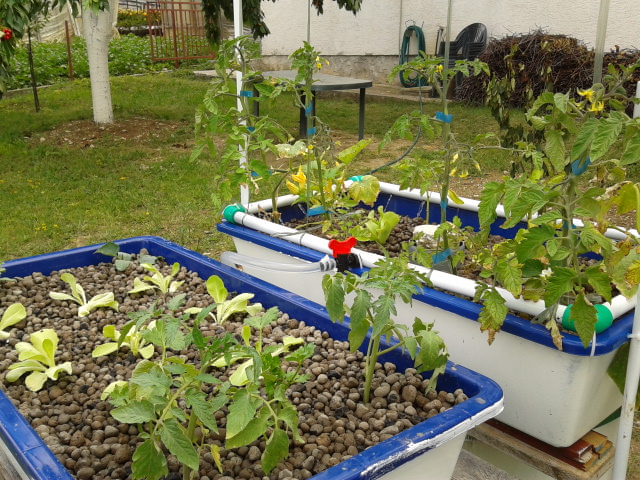 2012-05-24 16.06.33.jpg