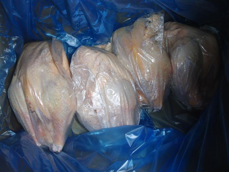 P5250161 (Custom).JPG