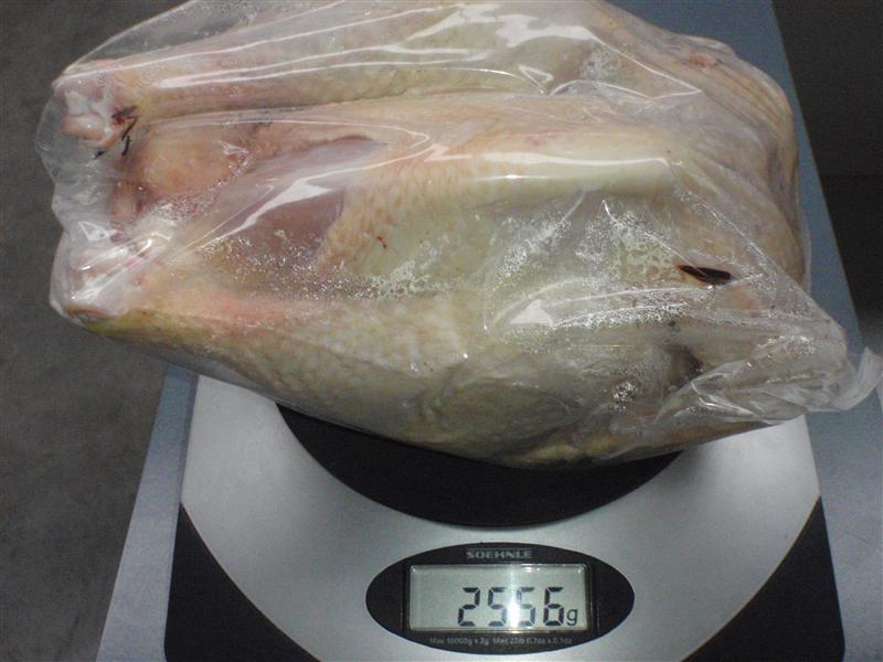 P5250165 (Custom).JPG