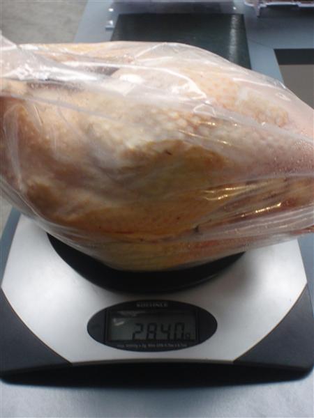 P5250163 (Custom).JPG