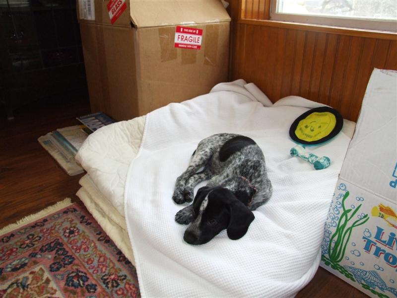 Baily 2 (Medium).JPG