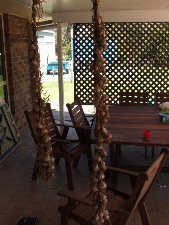 DSCF2954 (Medium).JPG