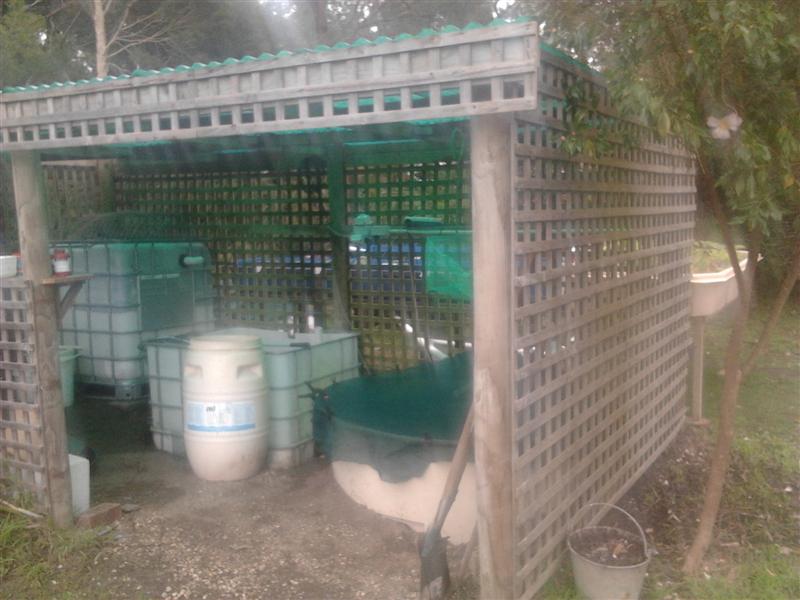 Tank lean to (Medium).jpg