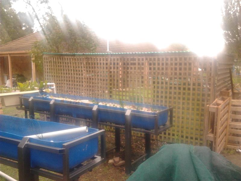 grow beds (Medium).jpg