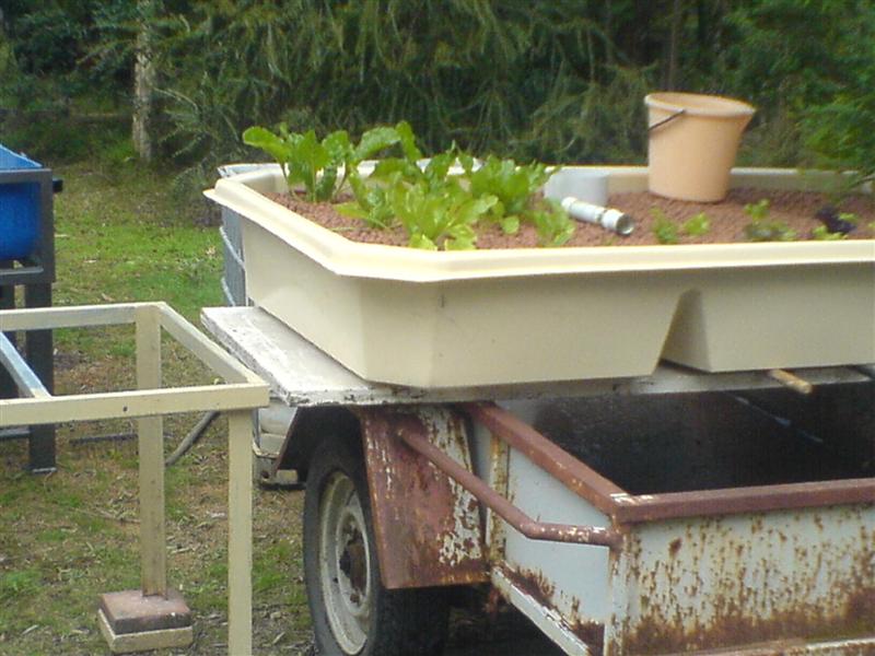 DSC00578 (Medium).JPG