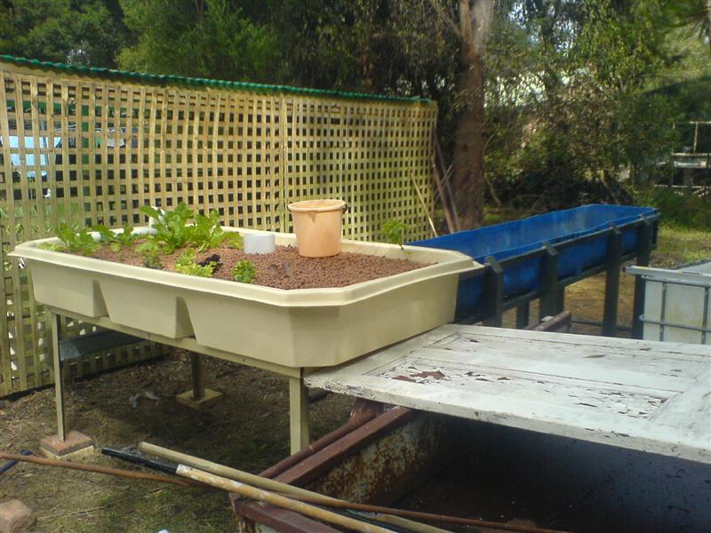 DSC00579 (Medium).JPG