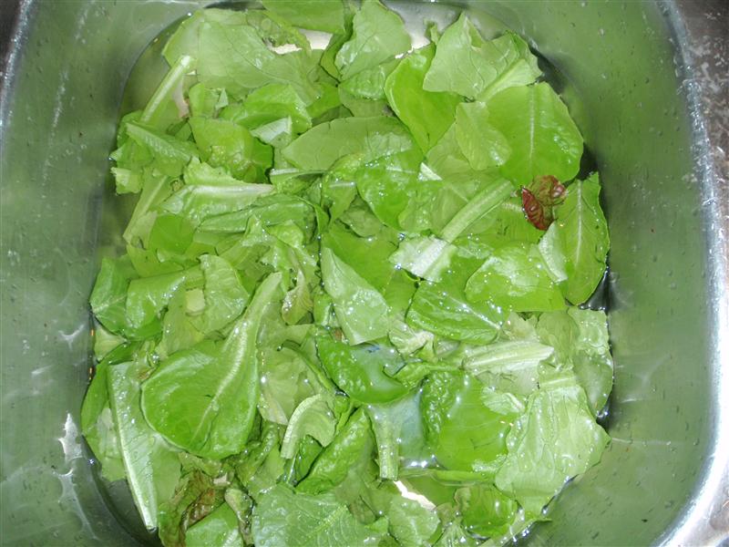 P5280817 (Custom).JPG