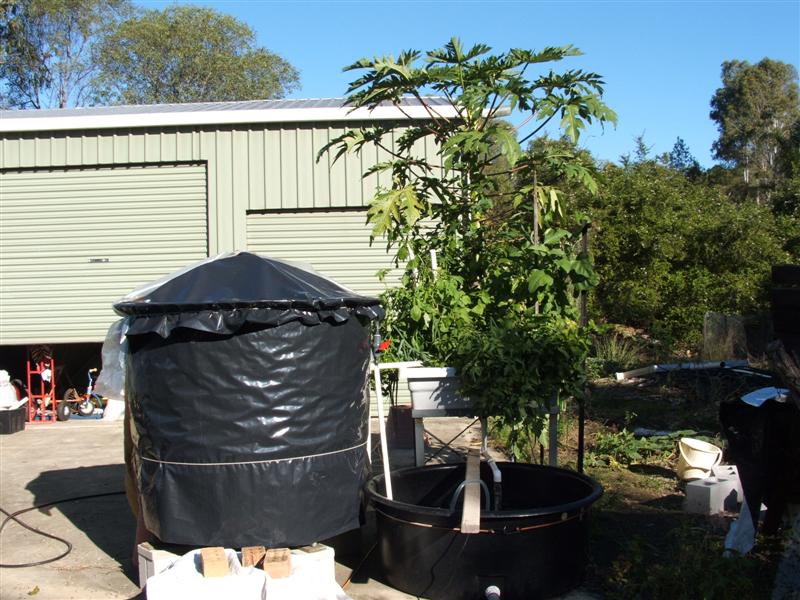 DSCF4029 (Medium).JPG