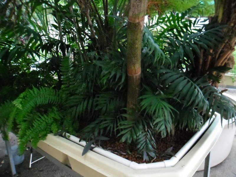 SAM_0127 (Custom).JPG