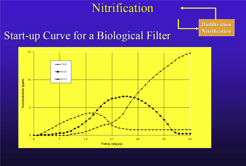 Nitrification Startup Curve.PNG