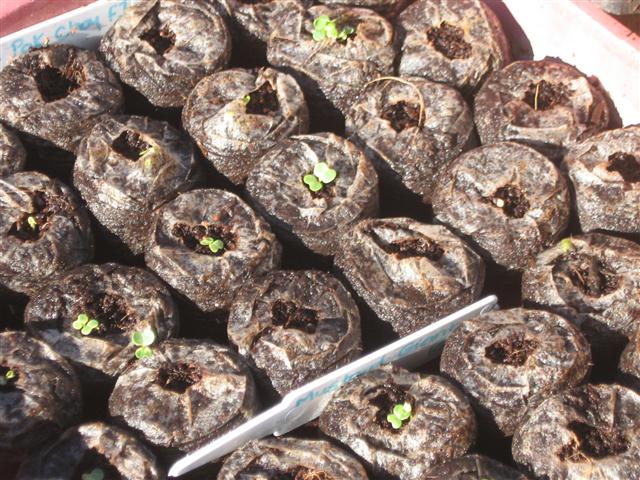 TODAY IS THE DAY 003 (Small).JPG