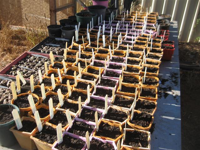 TODAY IS THE DAY 005 (Small).JPG