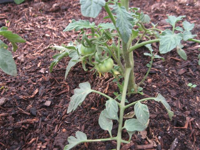 TODAY IS THE DAY 001 (Small).JPG